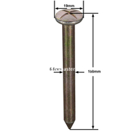 Đinh khảo sát thép (100mm)