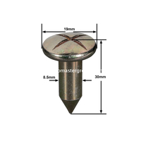 Đinh khảo sát thép (30mm)