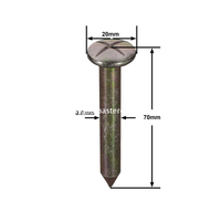 Đinh khảo sát thép (70mm)